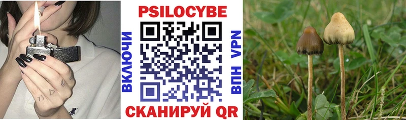 Галлюциногенные грибы GOLDEN TEACHER закладка дарк нет формула Старый Крым